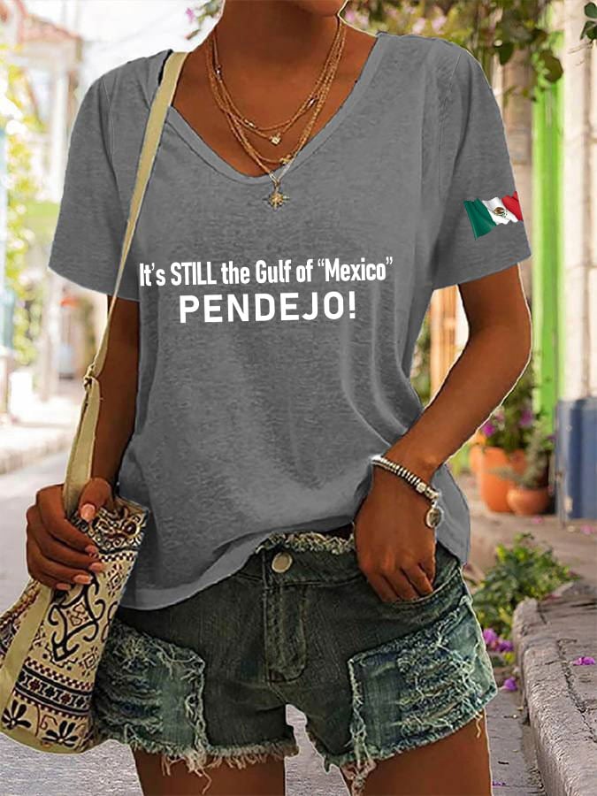 Women's It's Still the Gulf of "Mexico" PENDEJO Print V-Neck T-Shirt