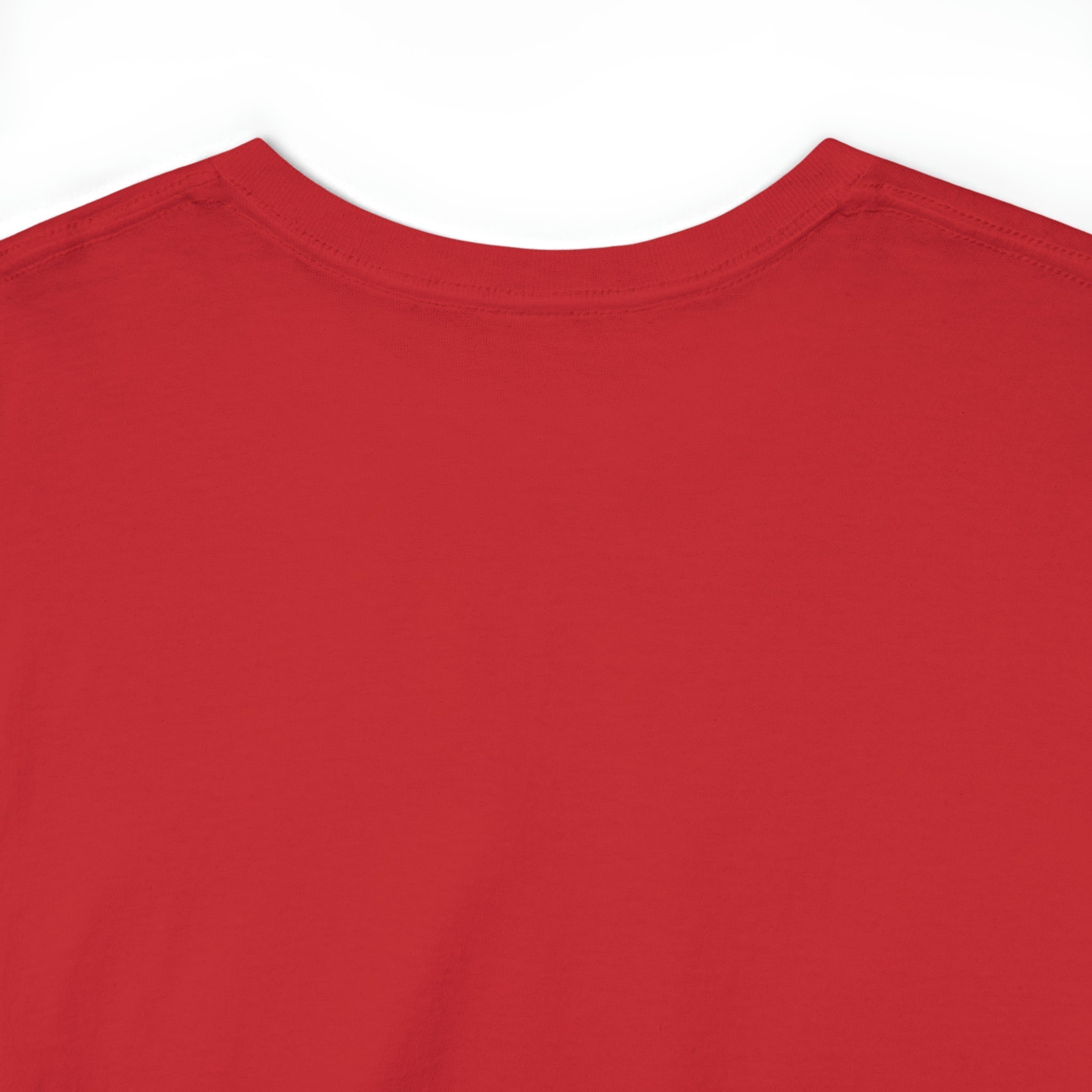 Freedom Eagle in Flight Unisex T-Shirt