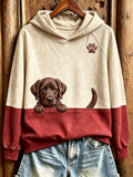 Women's  Peeking Chocolate Labrador Retriever & Paw Print Contrast Color Cozy Sweatshirt